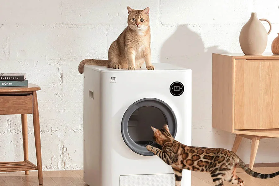 odorless cat litter box